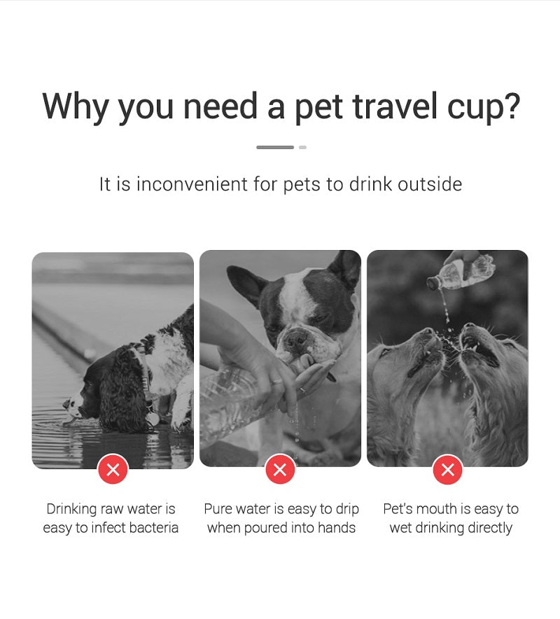 Portable Dogs and Cats Water Bottle