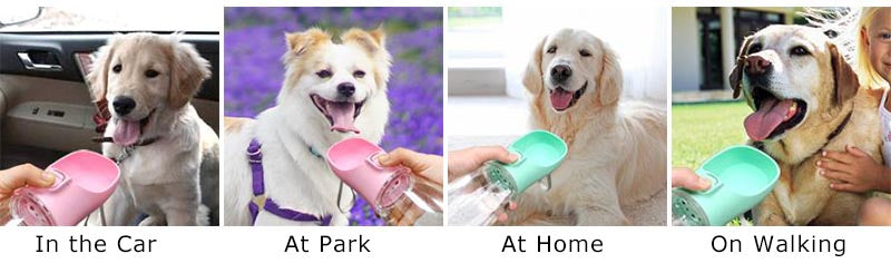 Portable Dogs and Cats Water Bottle